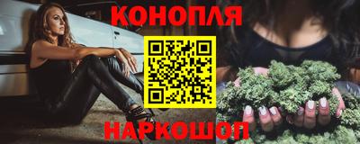 Альфа ПВП Будённовск