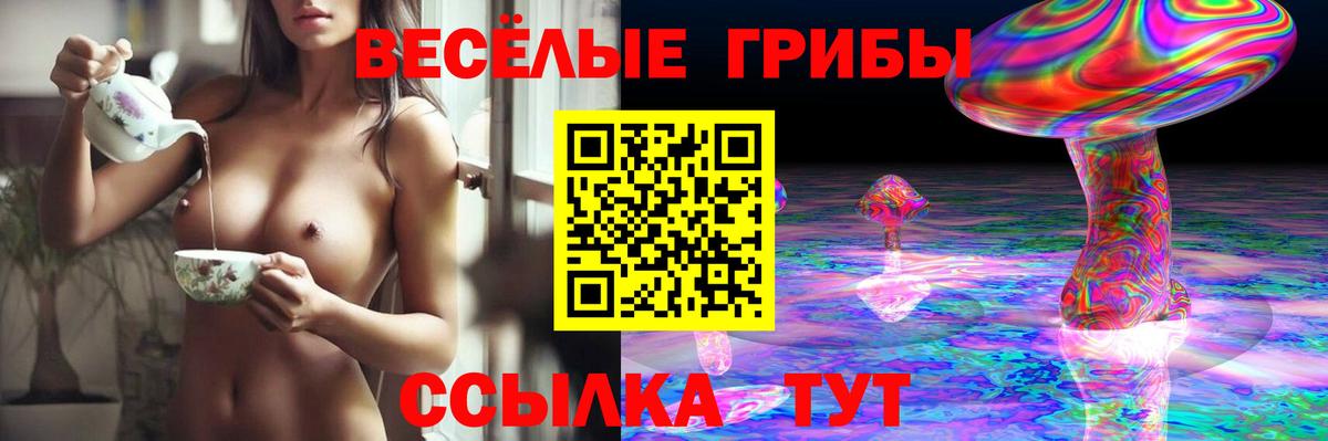 Псилоцибиновые грибы мухоморы  Галлюциногенные грибы GOLDEN TEACHER  Геленджик  Вход с VPN 